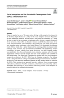 Social enterprises and the Sustainable Development Goals (SDGs): a means to an end