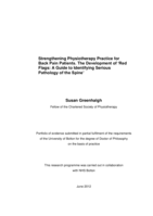 Strengthening Physiotherapy Practice for Back Pain Patients. The Development of ‘Red Flags: A Guide to Identifying Serious Pathology of the Spine’