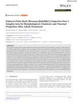 Palmyra Palm Shell (Borassus flabellifer) Properties Part 3: Insights Into Its Morphological, Chemical, and Thermal Properties After Alkali Treatment