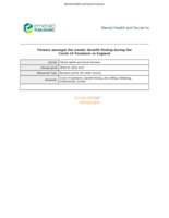 Flowers amongst the weeds: benefit-finding during the Covid-19 pandemic in England