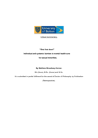 “Shut that door!” Individual and systemic barriers to mental health care for sexual minorities.