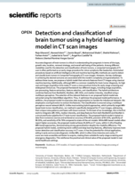 Detection and classification of brain tumor using a hybrid learning model in CT scan images
