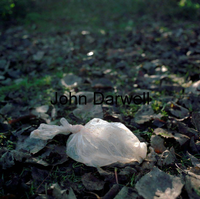 Bag with light