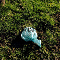 Turqoise on grass