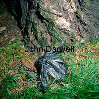 Bag by tree