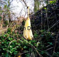 Hanging yellow bag