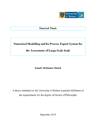Numerical modelling and in-process expert system for the assessment of large scale seals