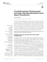 Crosstalk between photoreceptor and sugar signaling modulates floral signal transduction