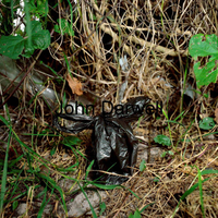 Undergrowth bag