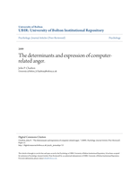 The determinants and expression of computer-related anger