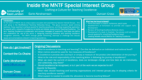 Inside the MNTF Special Interest Group - crafting a culture for teaching excellence