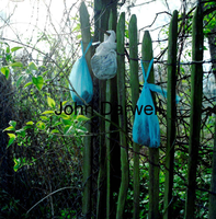 Blue bags on fence