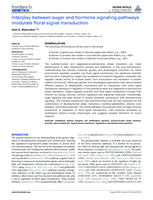 Interplay between sugar and hormone signaling pathways modulate floral signal transduction