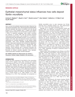 Epithelial–mesenchymal status influences how cells deposit fibrillin microfibrils