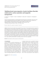 Multifunctional nanocomposites of poly(vinylidene fluoride) reinforced by carbon nanotubes and magnetite nanoparticles
