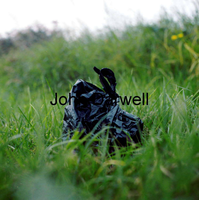 Bag in grass