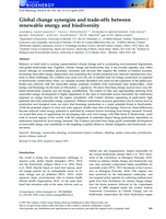 Global change synergies and trade-offs between renewable energy and biodiversity