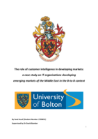 The role of customer intelligence in developing markets: a case study on IT organisations developing emerging markets of the Middle East in the B-to-B context